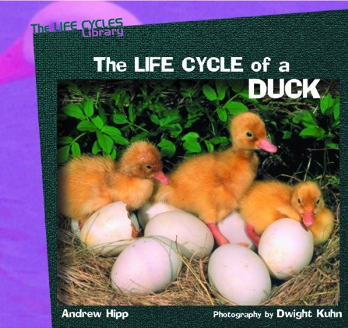 The life cycle duck - the,
